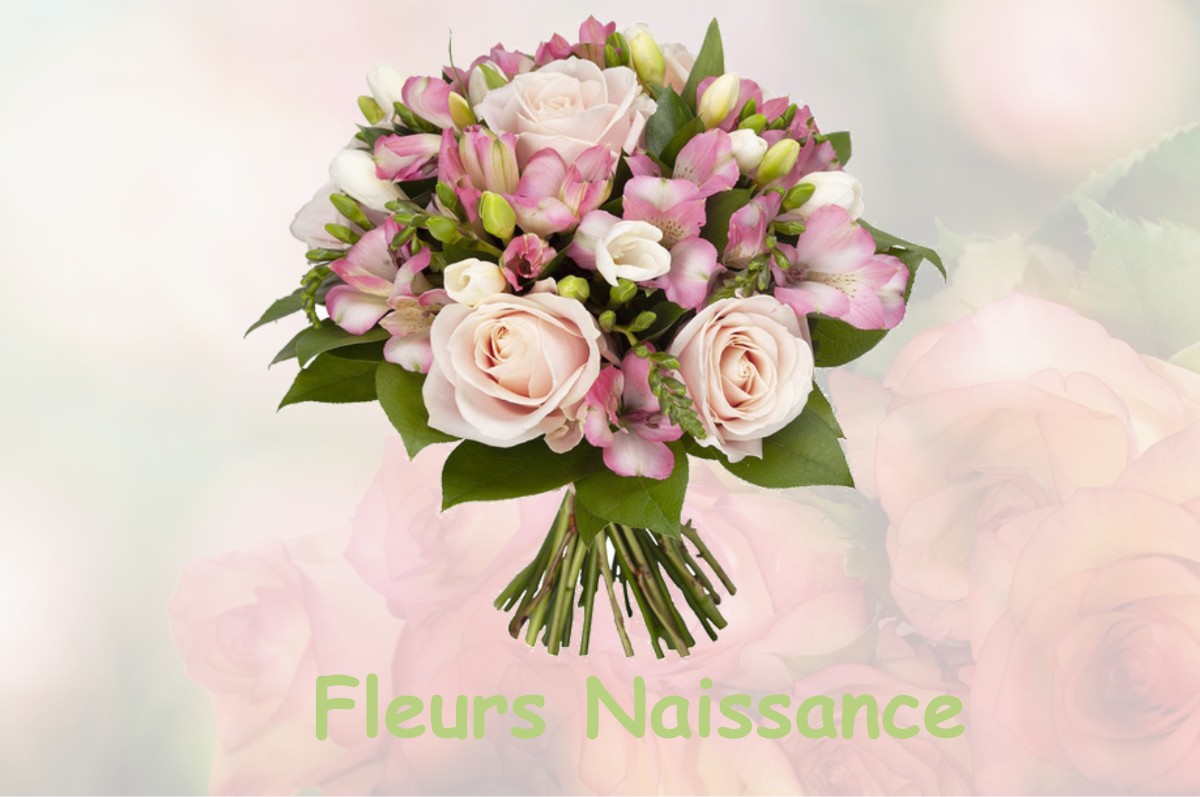 fleurs naissance MOURVILLES-HAUTES