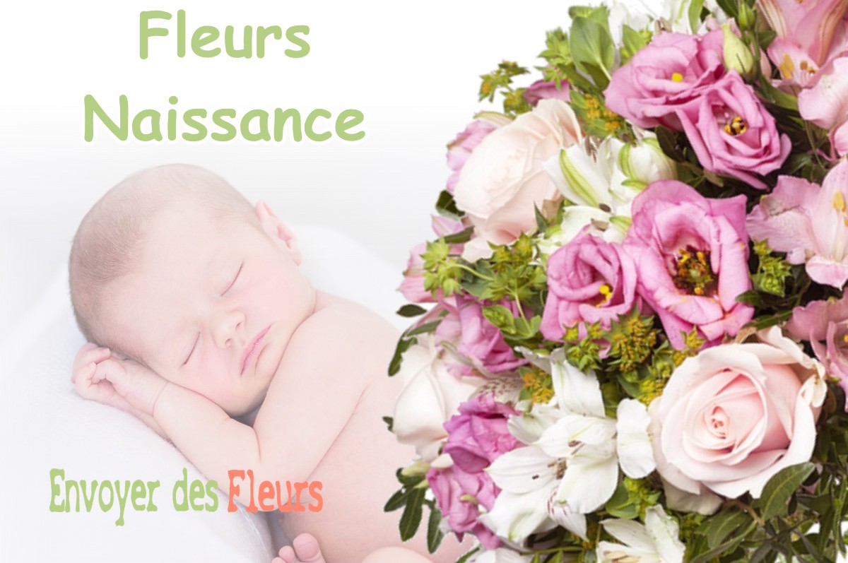 lIVRAISON FLEURS NAISSANCE à MOURVILLES-HAUTES